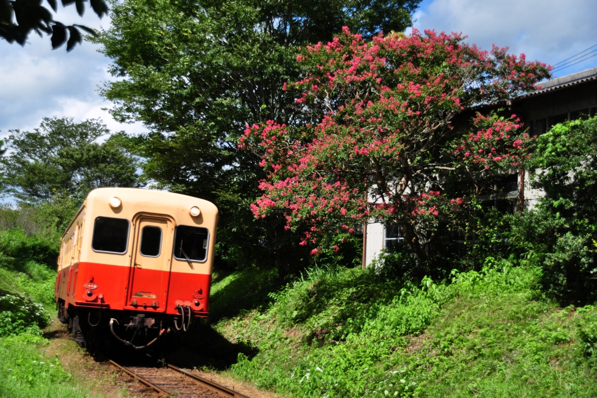撮影・小湊鐡道・里見