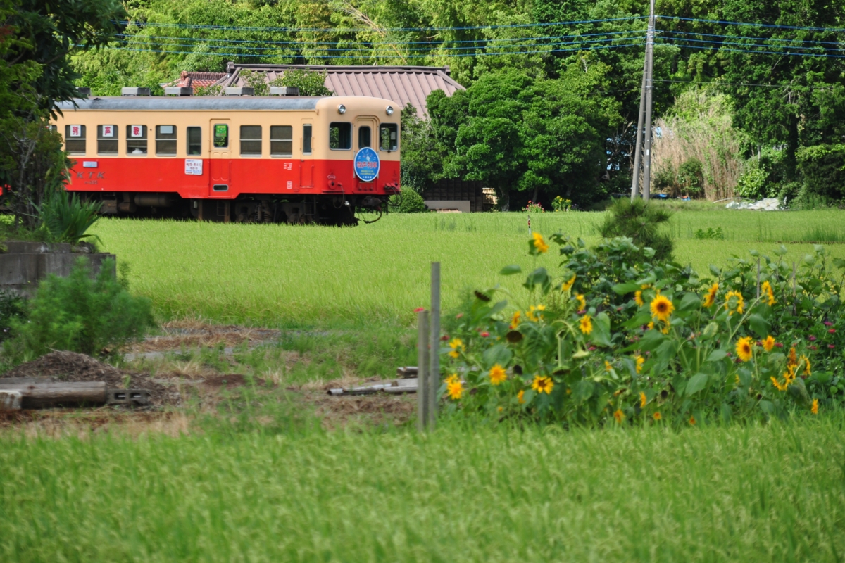 撮影・小湊鐡道・上総久保－高滝