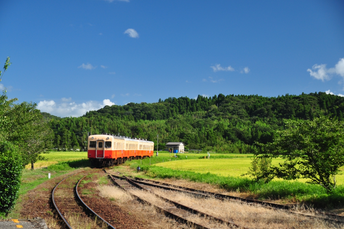 撮影・小湊鐡道・上総鶴舞