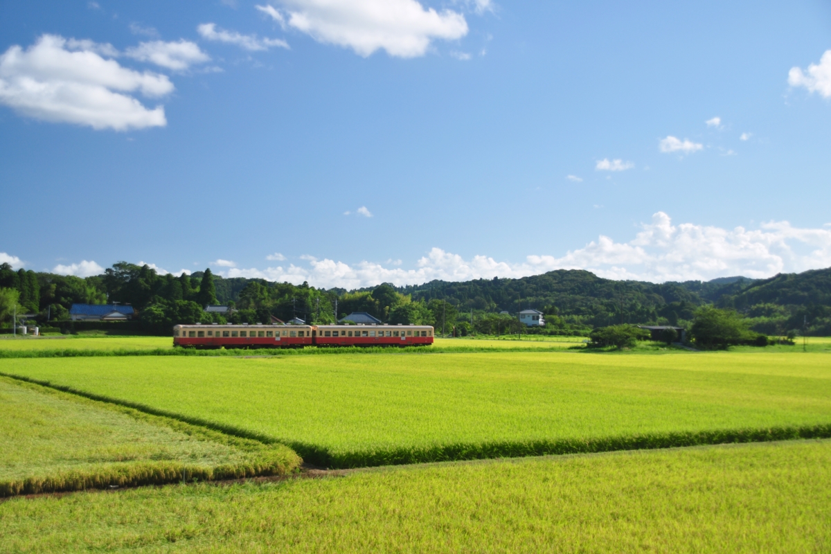 撮影・小湊鐡道・上総川間