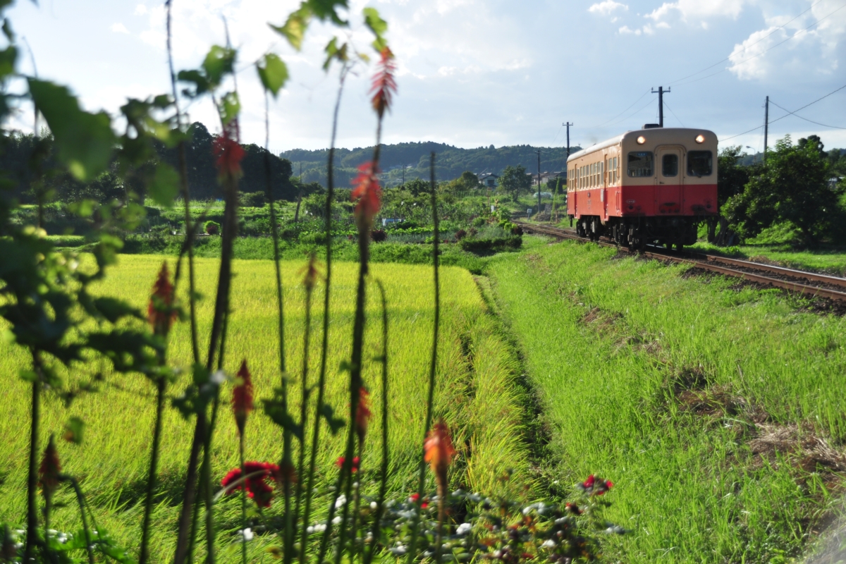 撮影・小湊鐡道・馬立－上総牛久