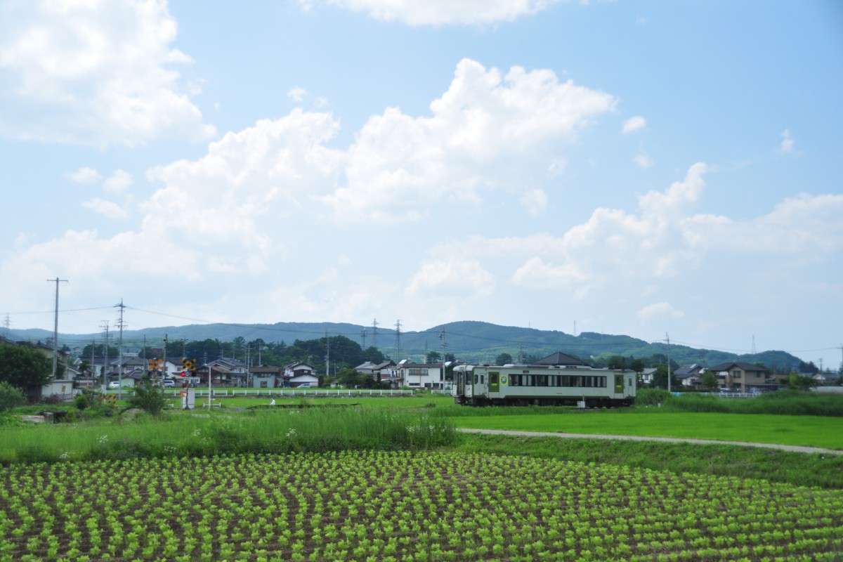 撮影・小海線・青沼