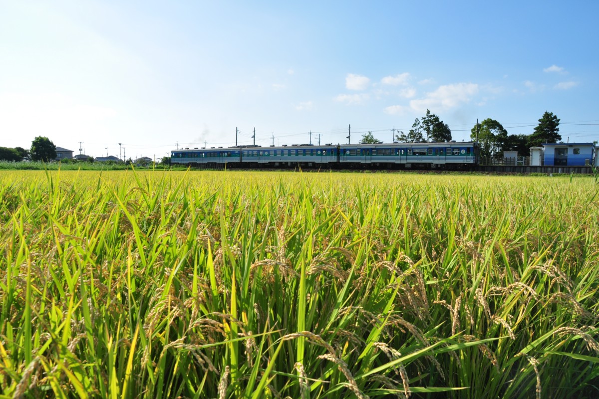 撮影・久留里線・東清川