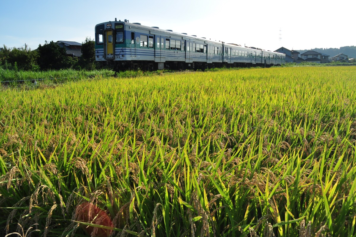撮影・久留里線・上総清川－東清川