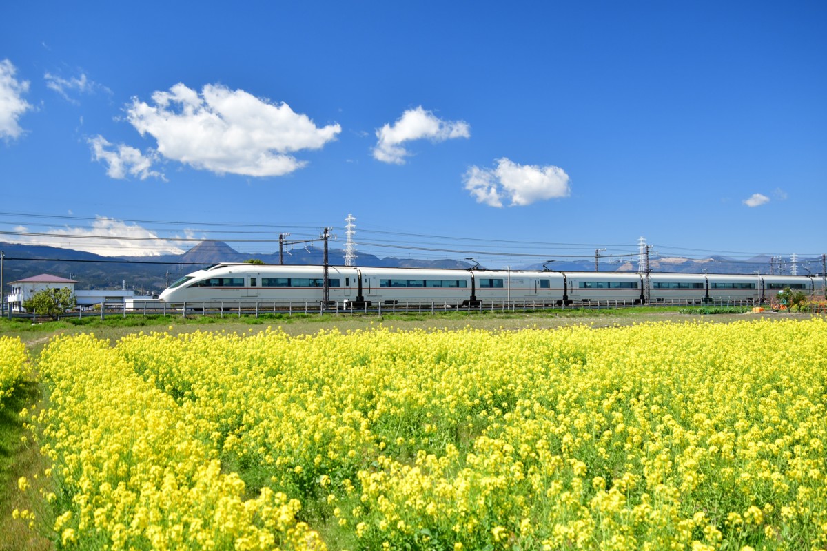 撮影・菜の花・小田急小田原線・栢山－富水