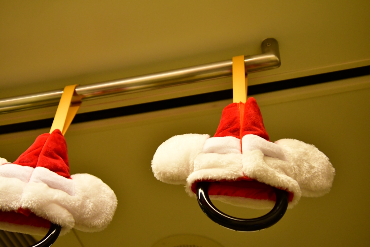 撮影・ディズニーリゾートライン