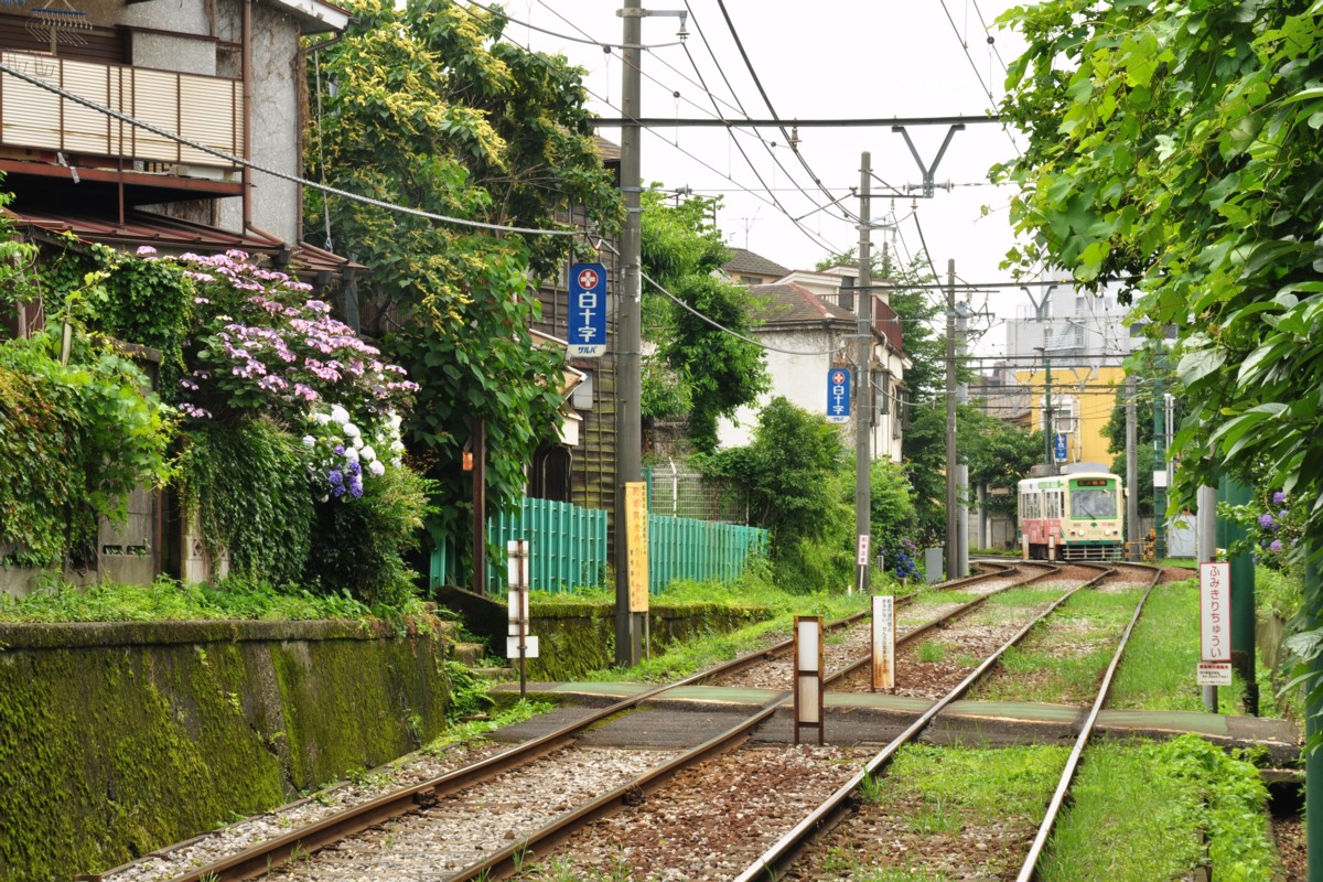 都電荒川線・撮影・都電雑司ヶ谷－東池袋四丁目