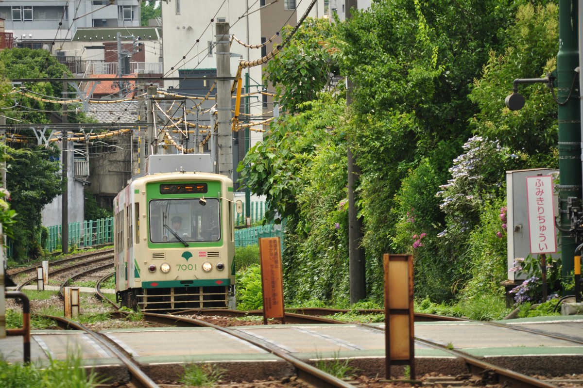 都電荒川線・撮影・東池袋四丁目－向原