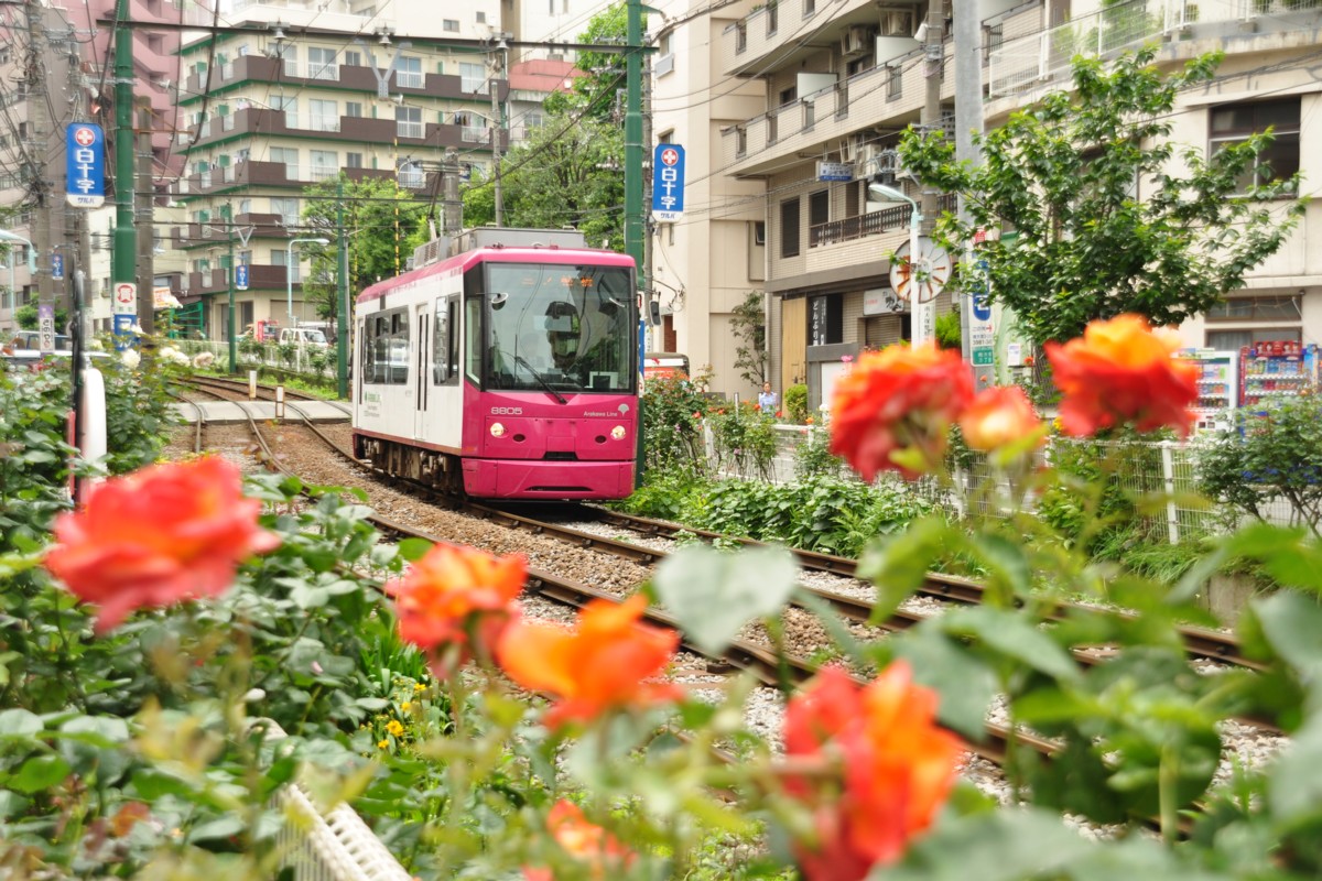 都電荒川線・撮影・向原－大塚駅前