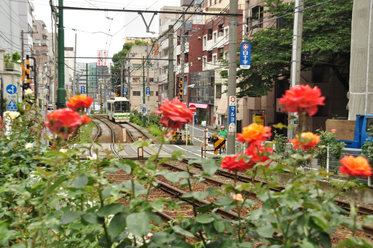 都電荒川線・撮影・向原－大塚駅前