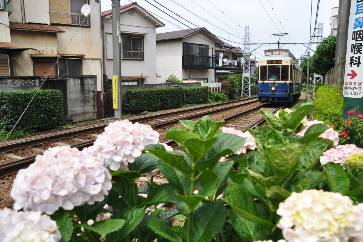 都電荒川線・撮影・西ヶ原四丁目