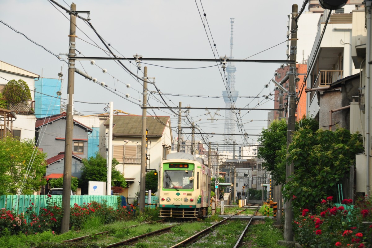 都電荒川線・撮影・荒川二丁目－荒川区役所前