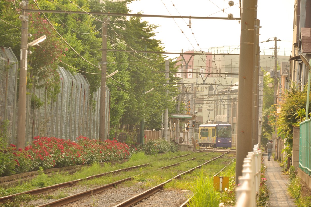 都電荒川線・撮影・荒川一中前－三ノ輪橋