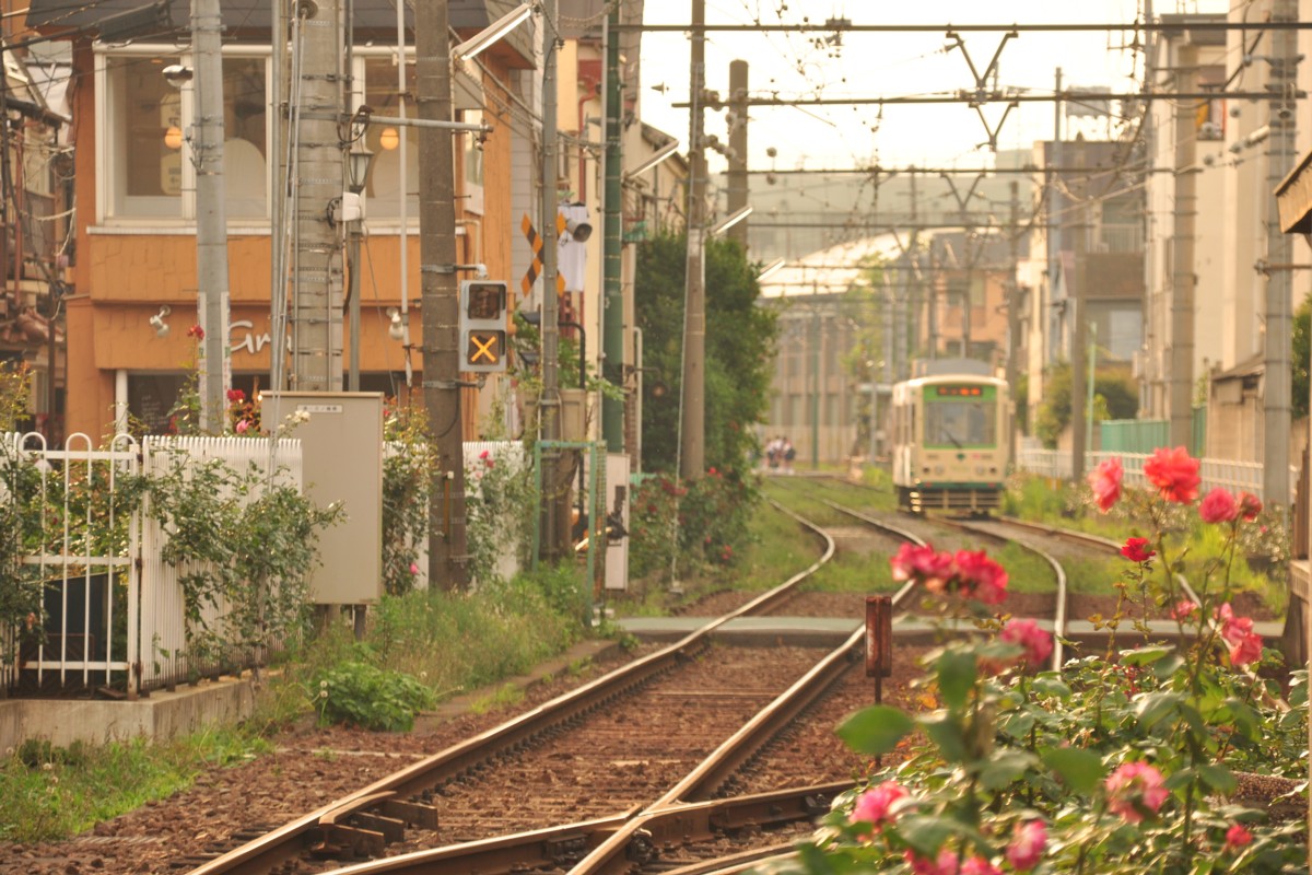 都電荒川線・撮影・三ノ輪橋