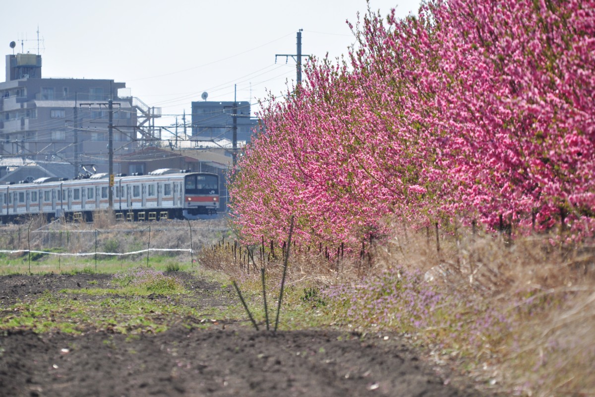 東川口－東浦和