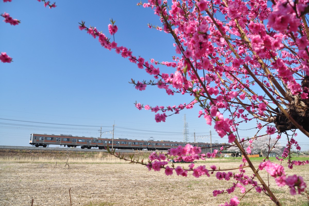 東川口－東浦和