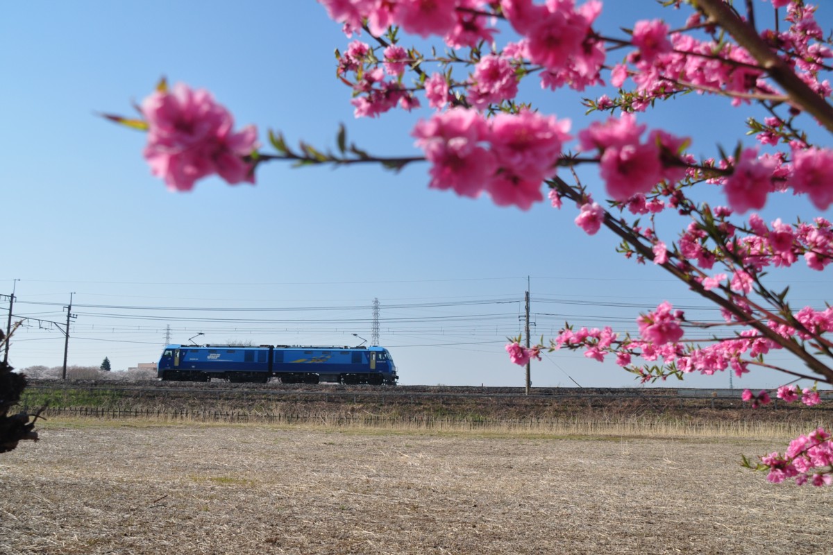 東川口－東浦和