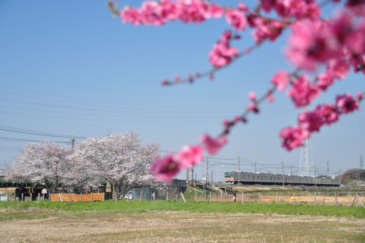 東川口－東浦和