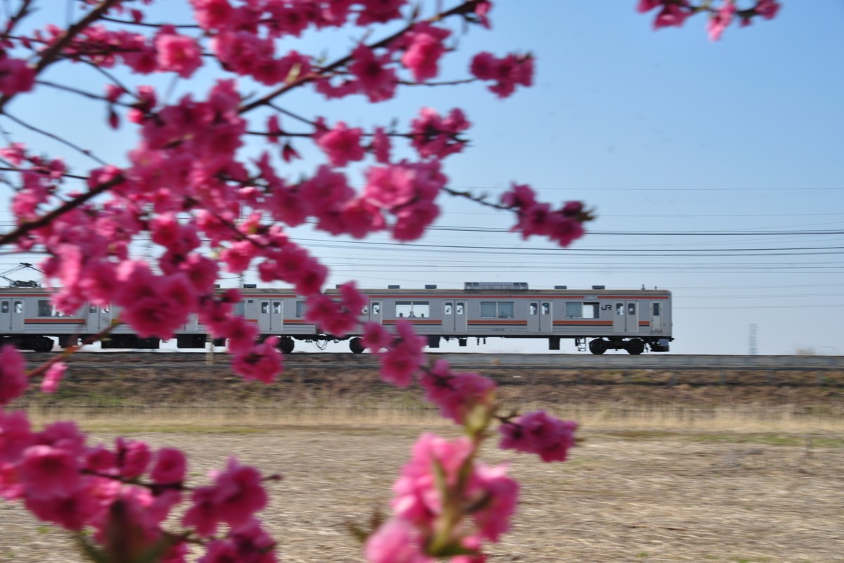 東川口－東浦和