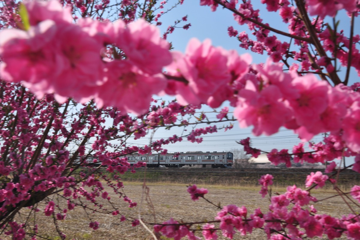 東川口－東浦和