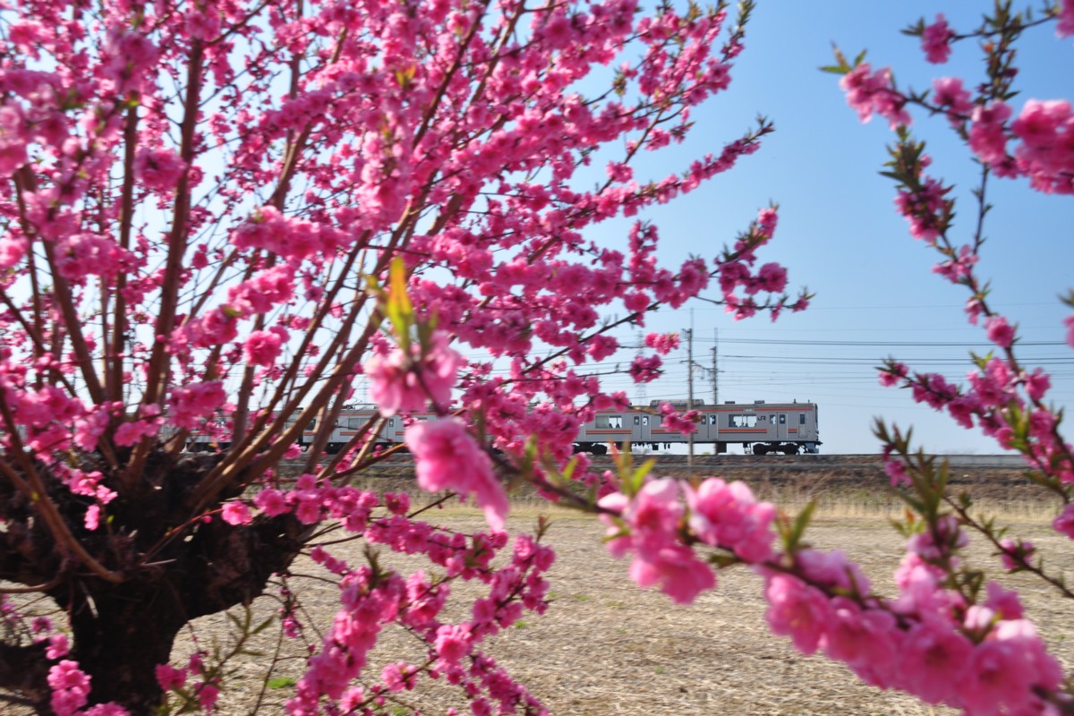 東川口－東浦和