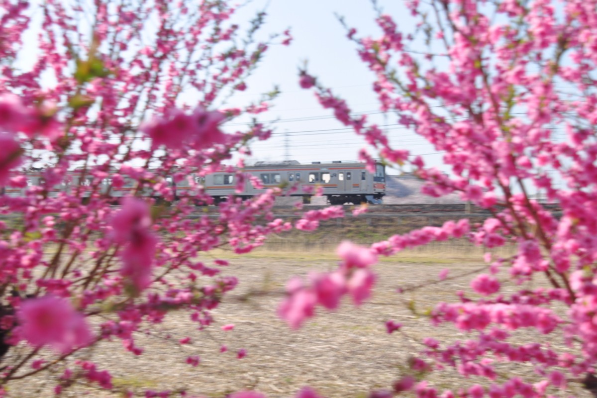 東川口－東浦和