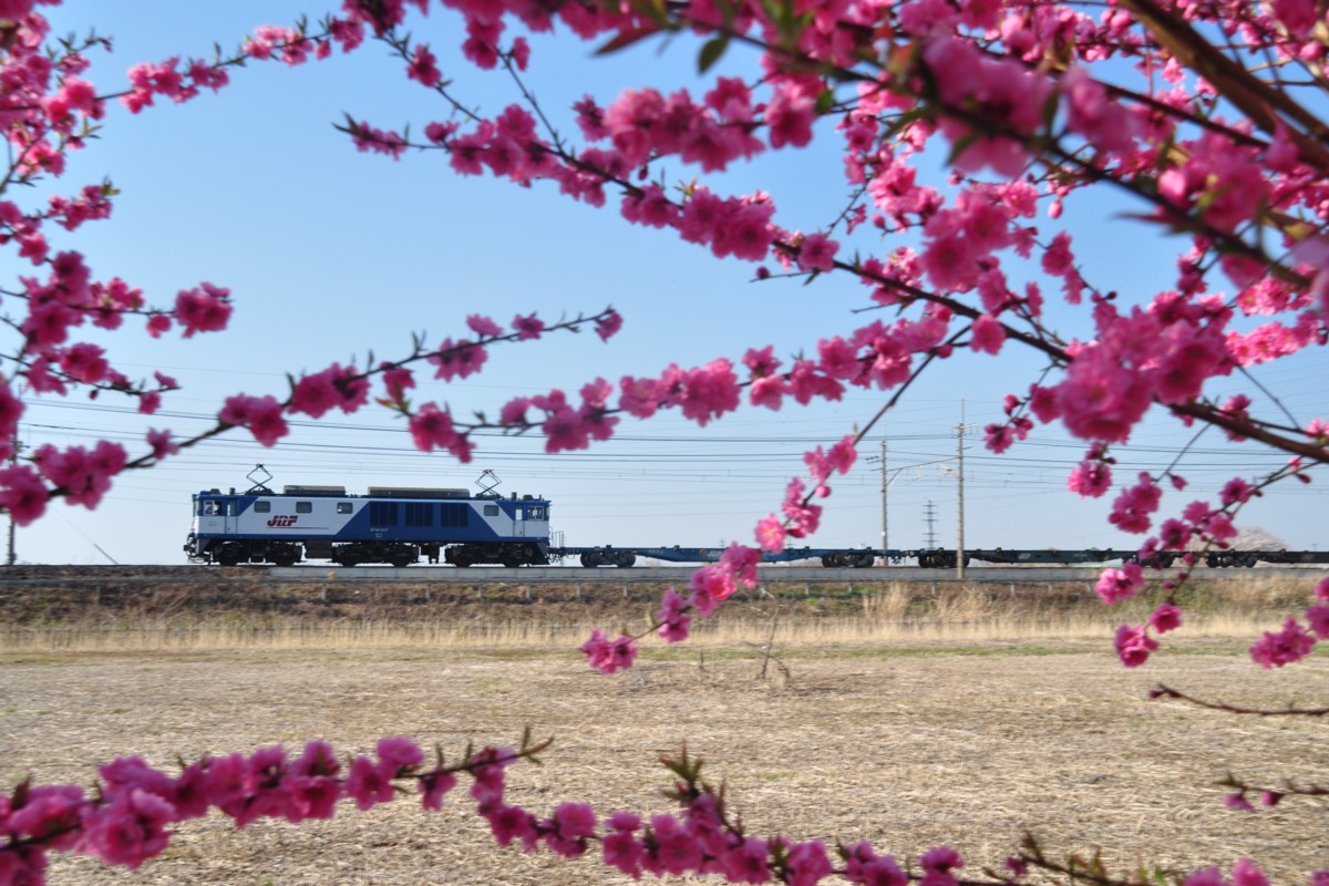 東川口－東浦和