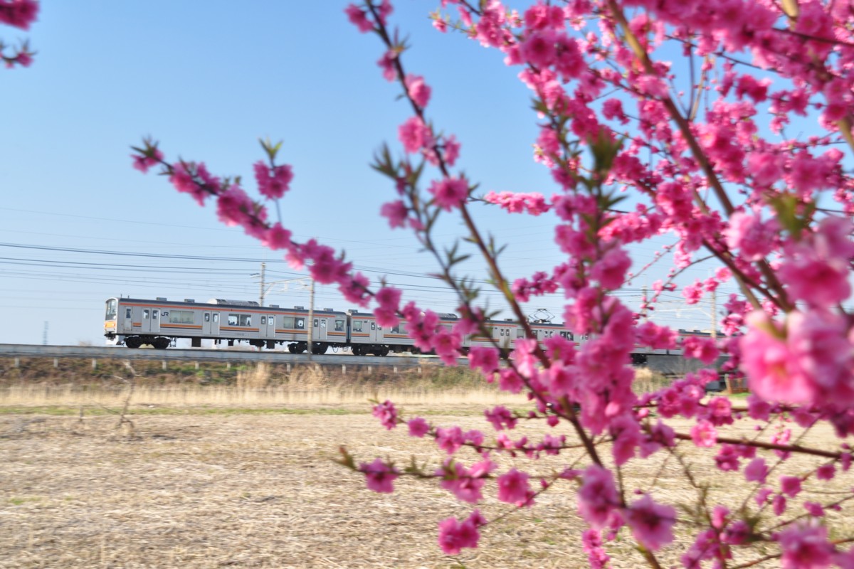東川口－東浦和
