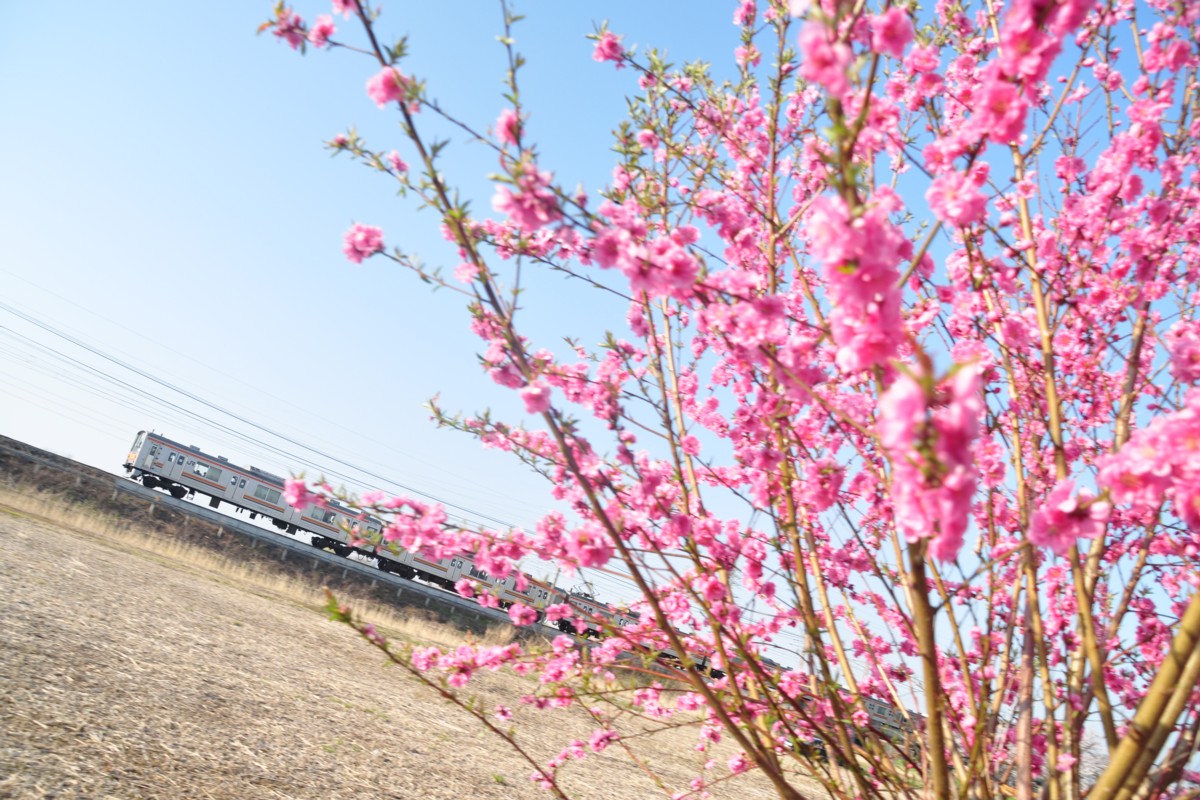 東川口－東浦和
