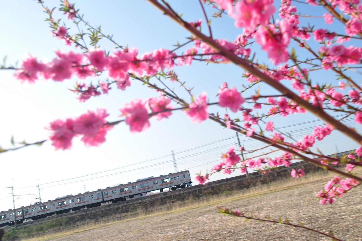 東川口－東浦和