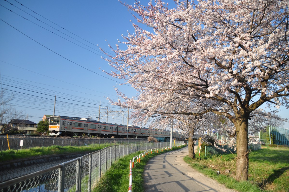 東川口－東浦和
