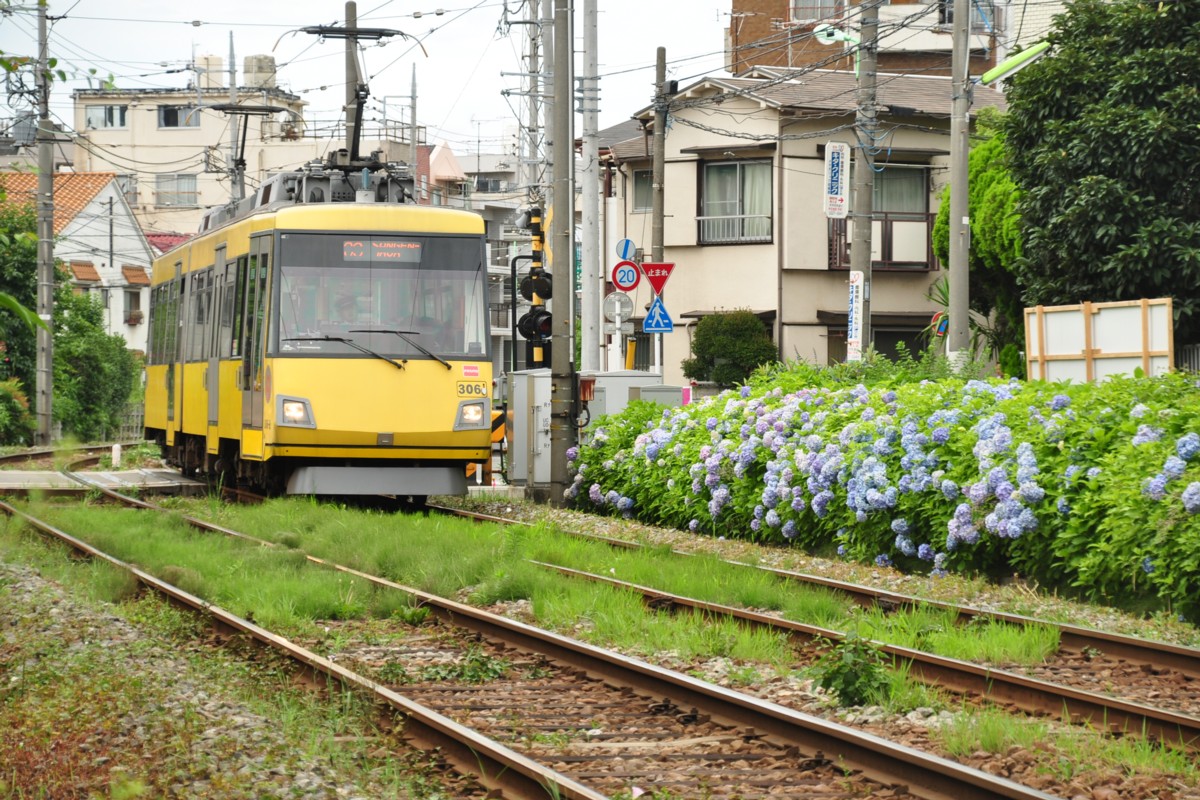 東急世田谷線・撮影・松原－山下