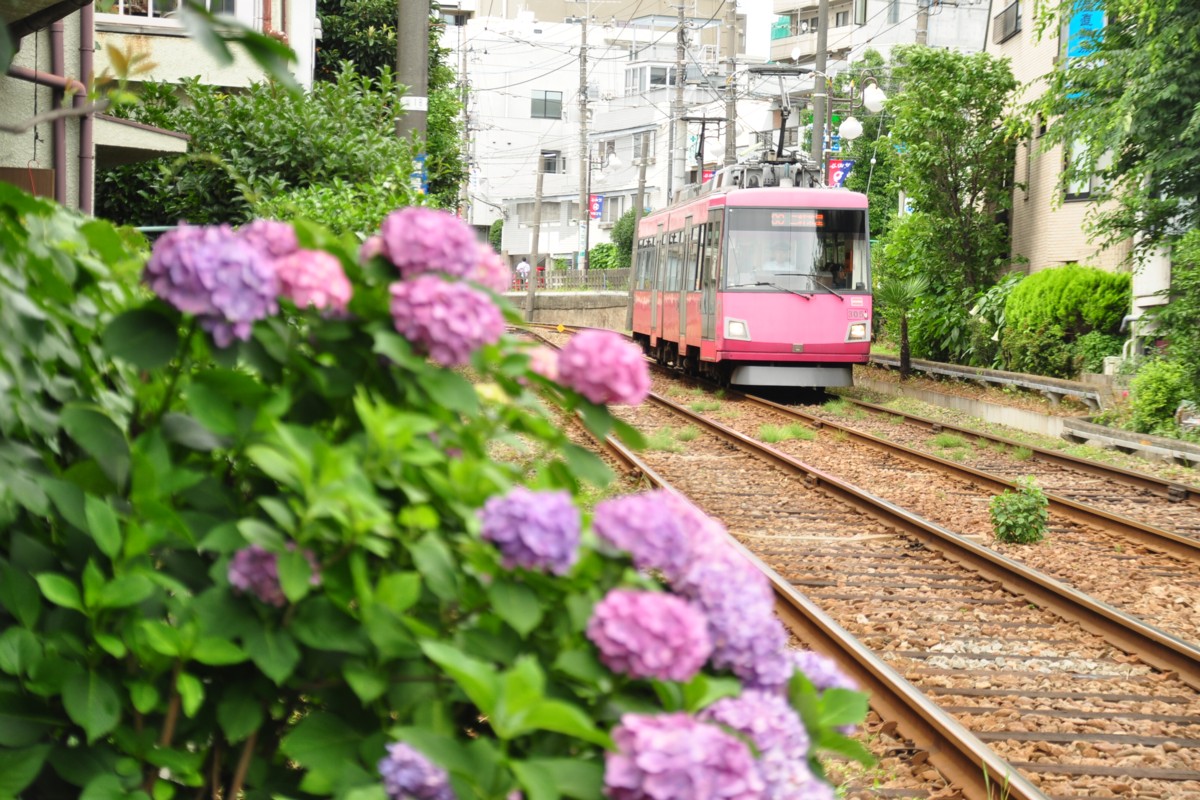 東急世田谷線・撮影・下高井戸－松原