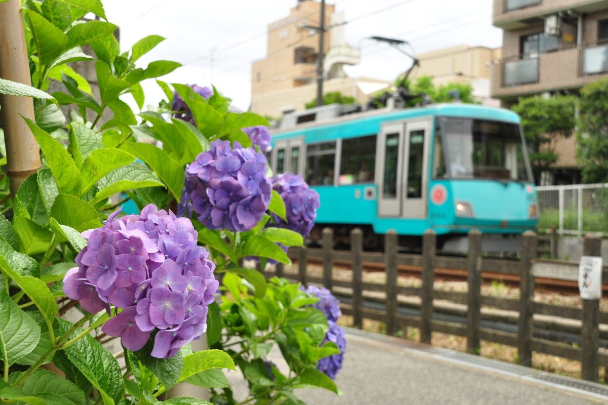 東急世田谷線・撮影・下高井戸－松原