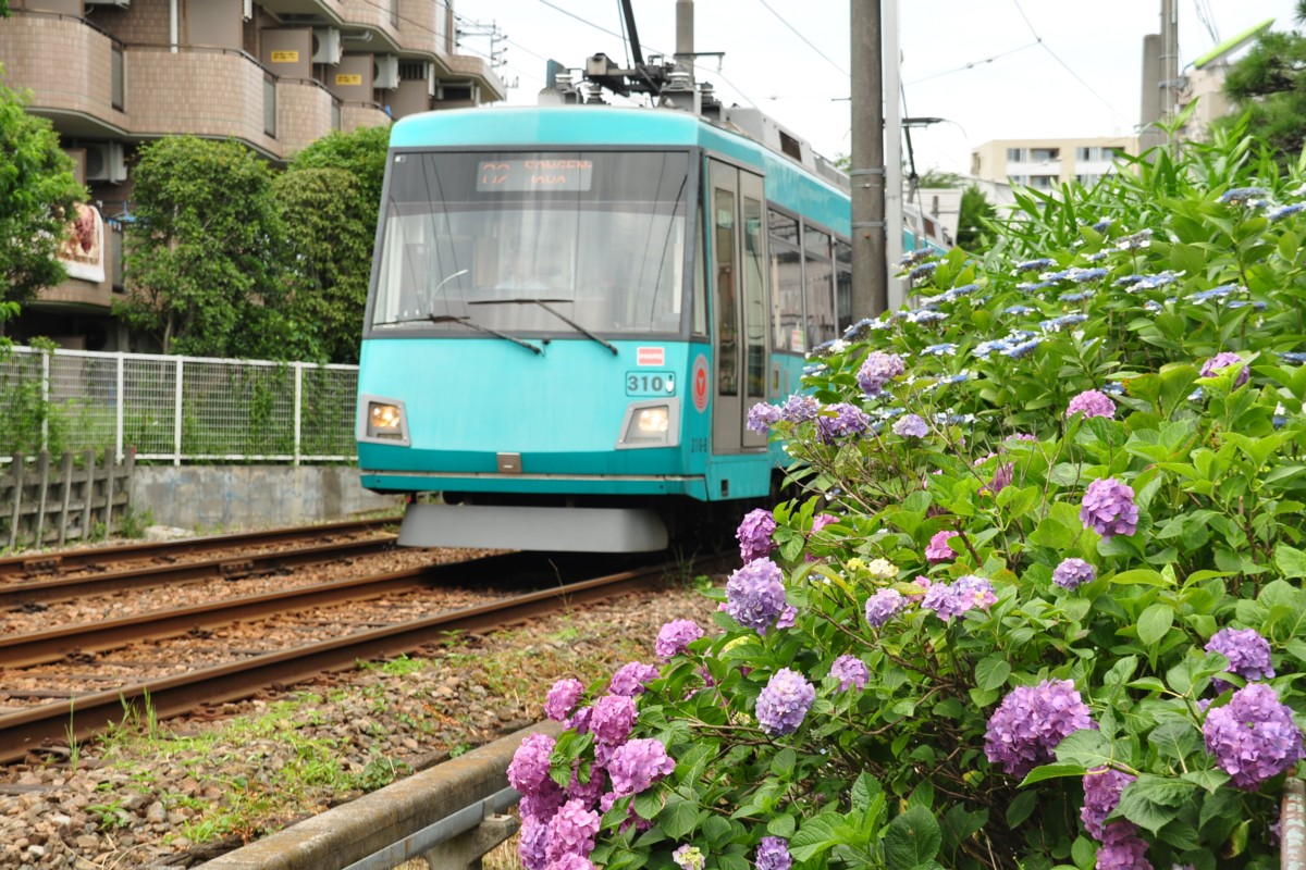 東急世田谷線・撮影・下高井戸－松原