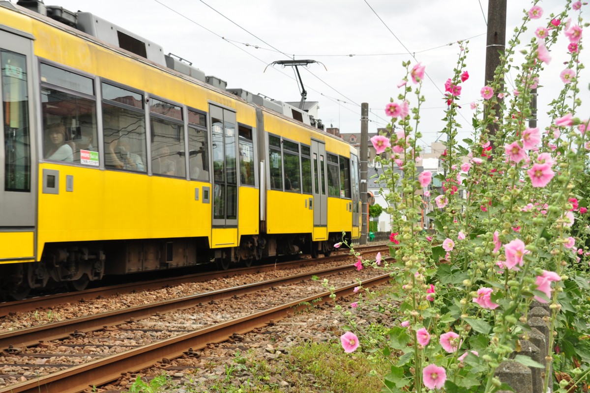 東急世田谷線・撮影・下高井戸－松原