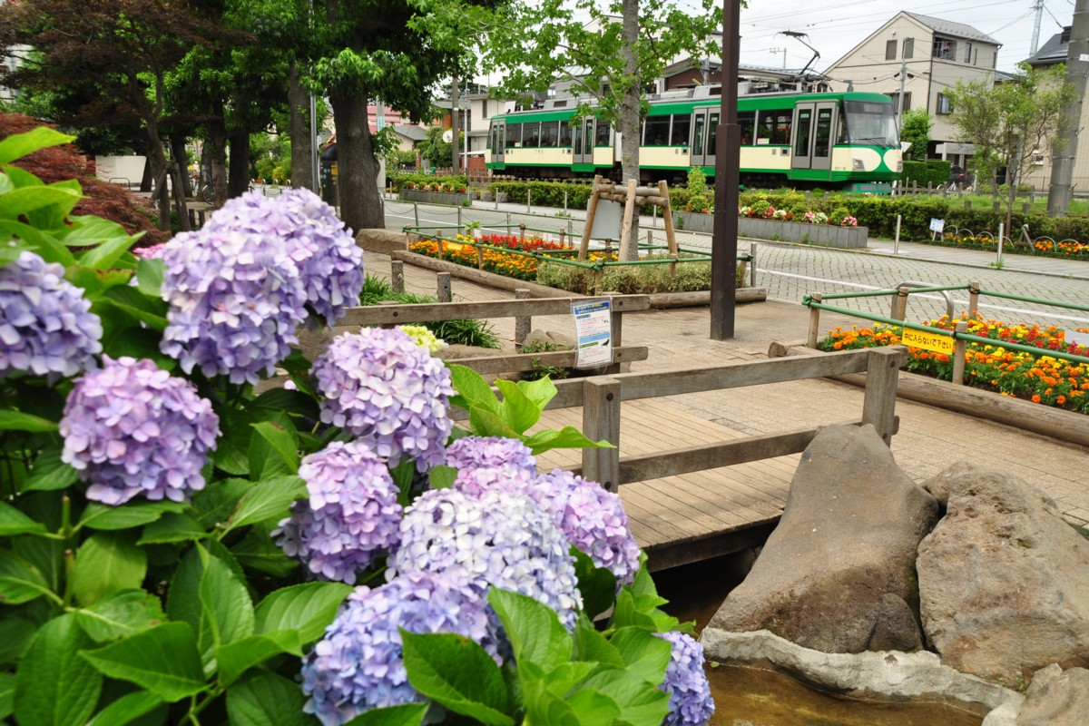 東急世田谷線・撮影・下高井戸－松原