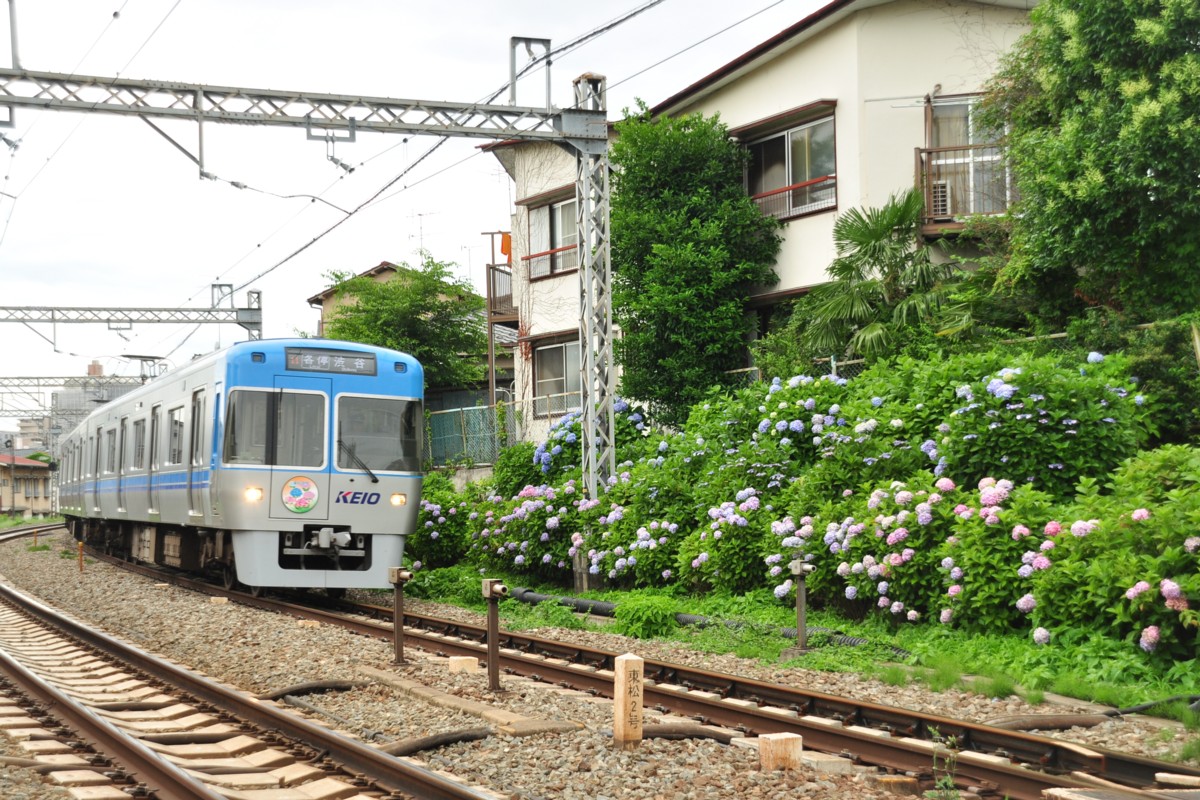 京王井の頭線・撮影・東松原