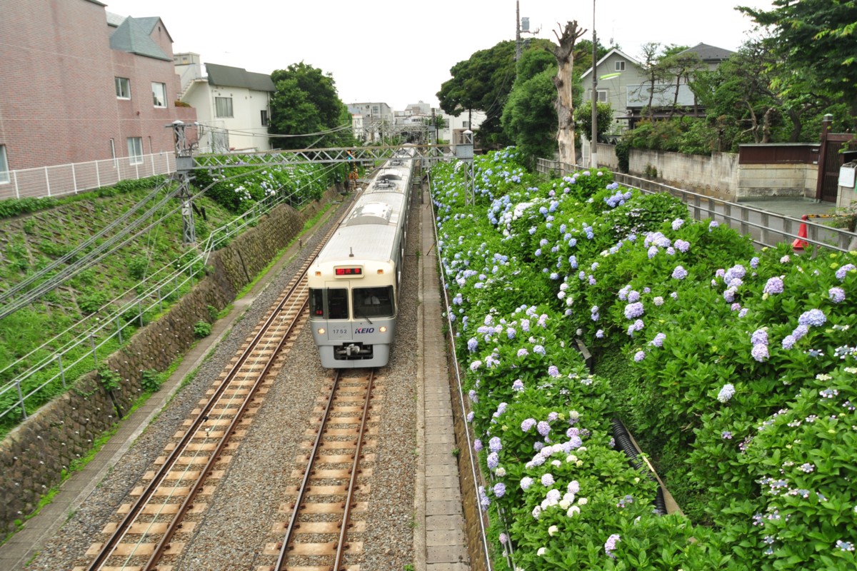 京王井の頭線・撮影・新代田－東松原