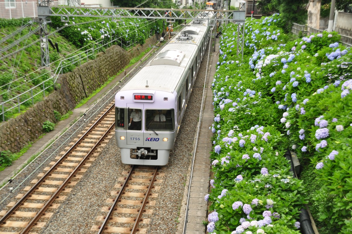 京王井の頭線・撮影・新代田－東松原