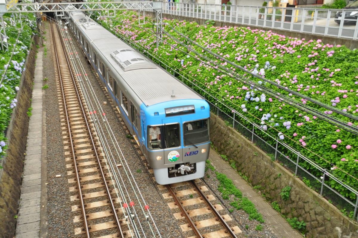 京王井の頭線・撮影・新代田－東松原