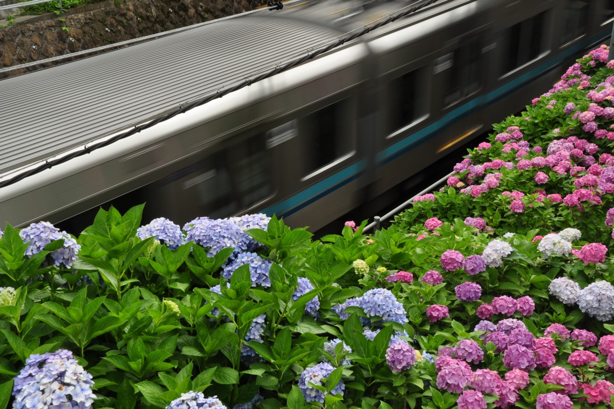 京王井の頭線・撮影・新代田－東松原