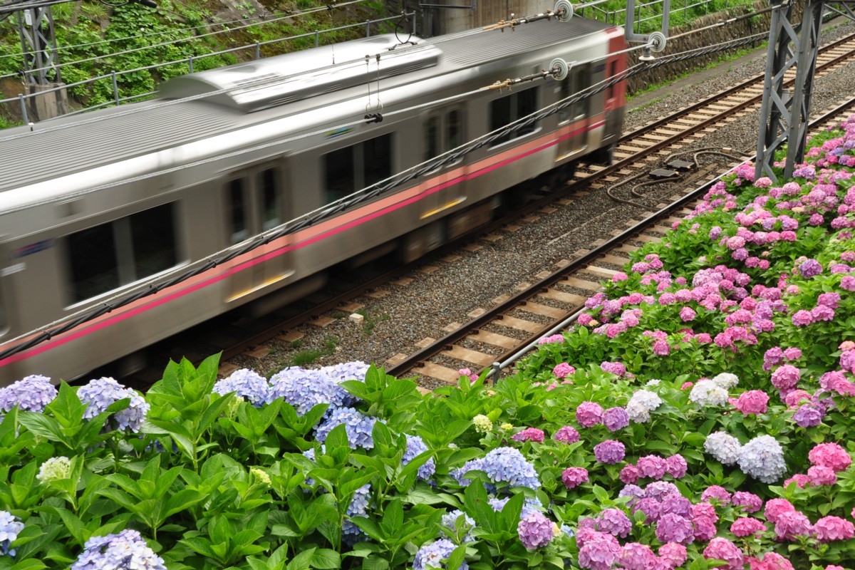 京王井の頭線・撮影・新代田－東松原