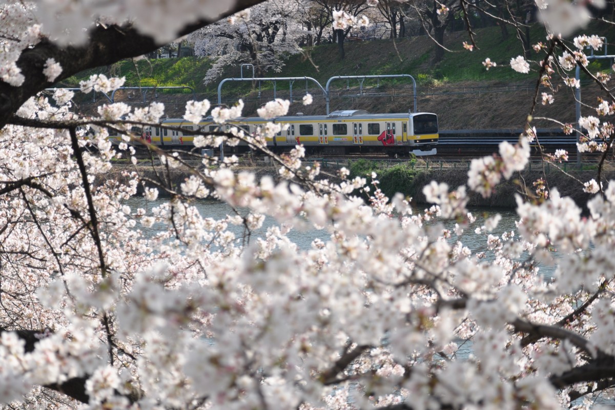 飯田橋－市ヶ谷・桜台