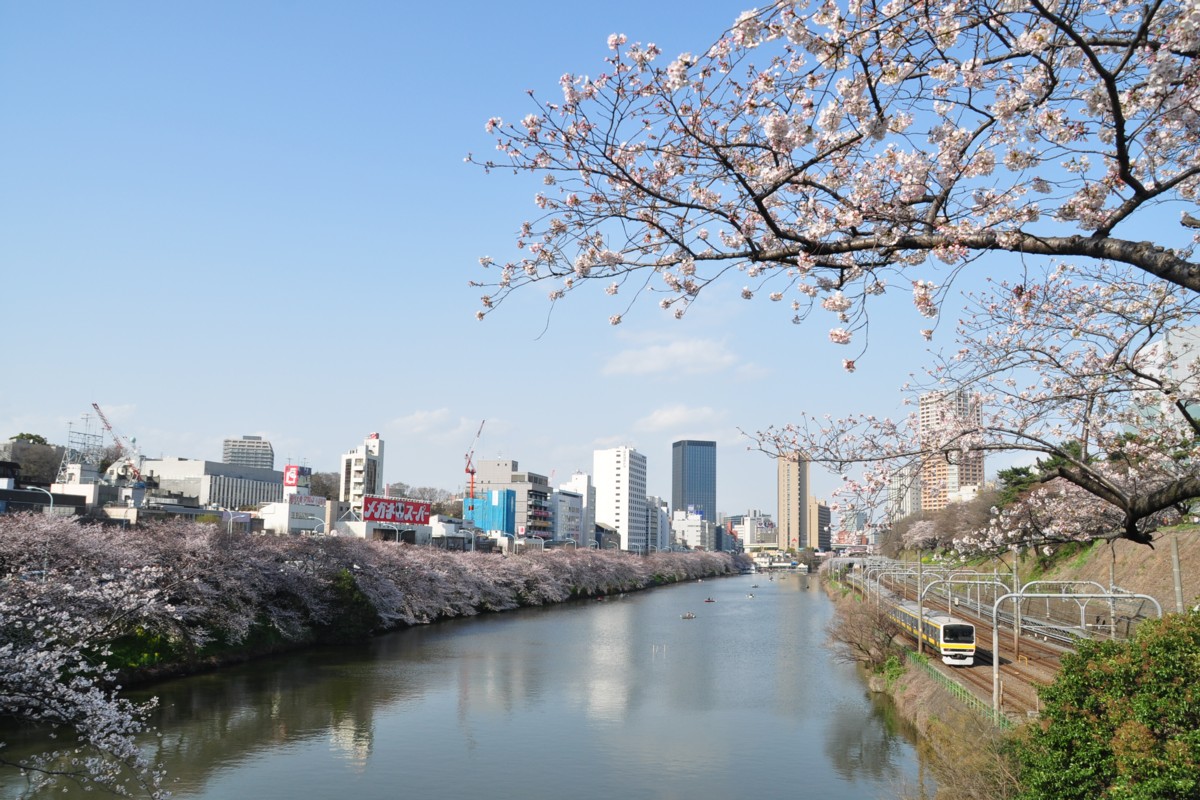 飯田橋－市ヶ谷・桜