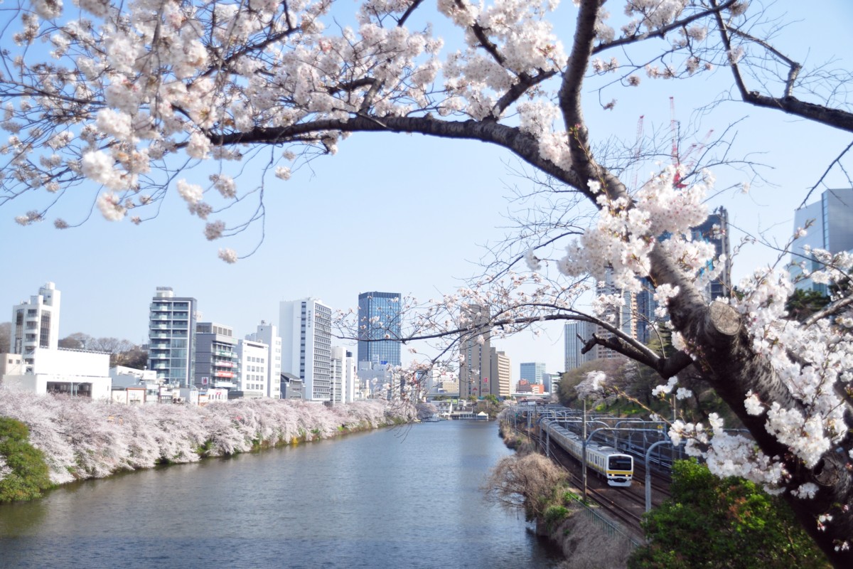 飯田橋－市ヶ谷・桜