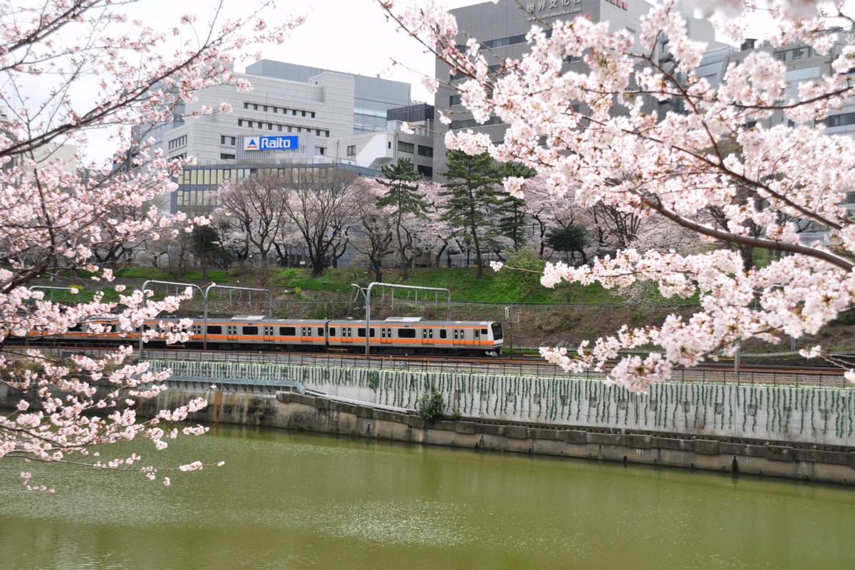 飯田橋－市ヶ谷・桜