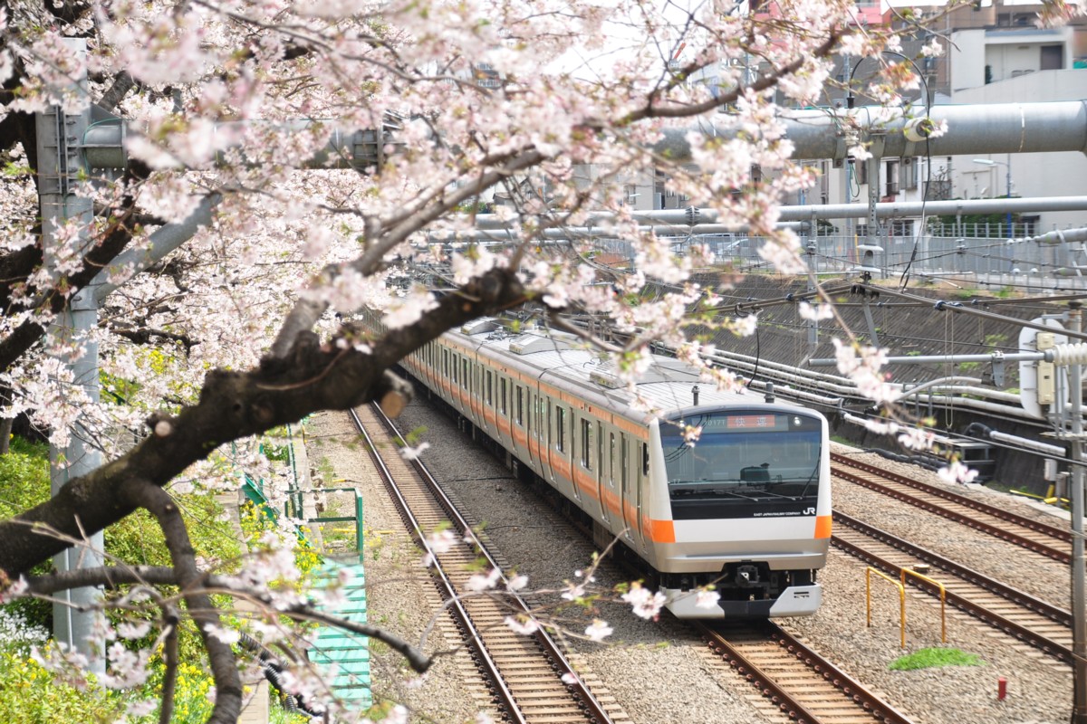 東中野－中野・桜