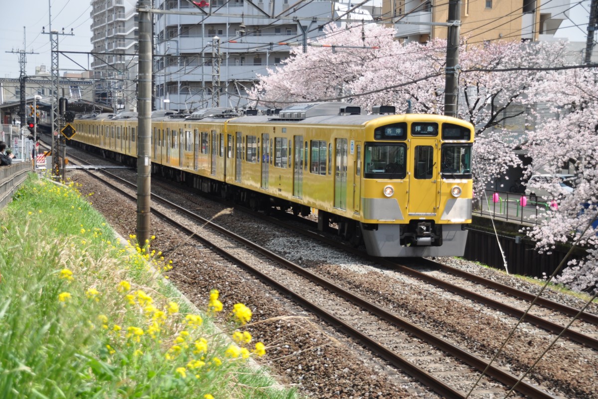 武蔵関－東伏見・桜