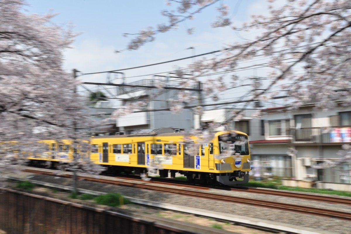 武蔵関－東伏見・桜